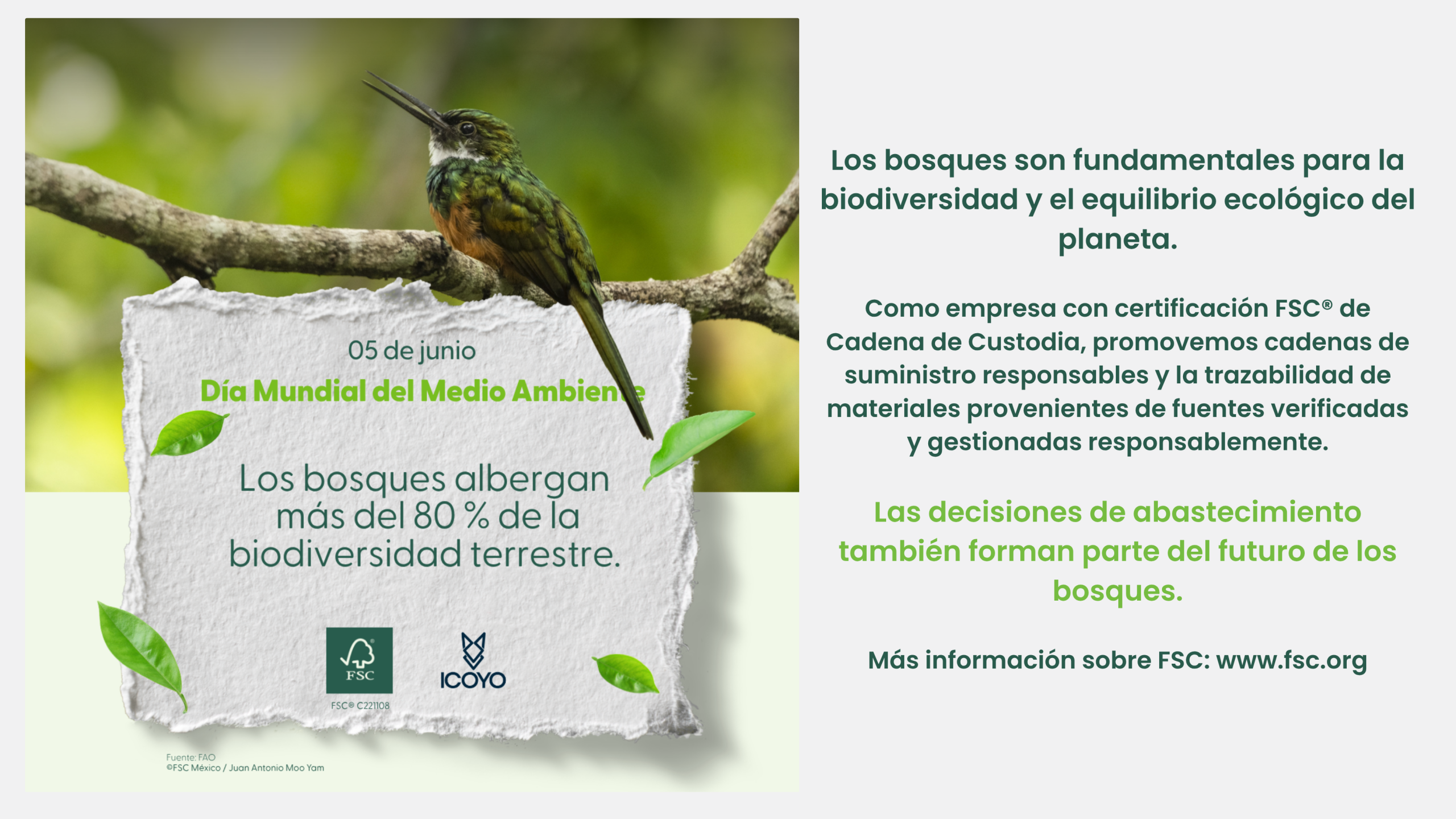 Promoción
